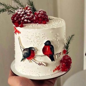 Tort de iarnă alb, decorat cu crenguțe de brad, ciorchine de rodie și doi bulgări roșii pictați pe ramuri