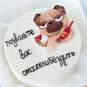 Bento pug cool cu vin roșu și pahare