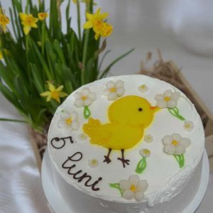Bento tort alb cu rățușcă galbenă și flori albe mici, mesaj „5 luni”, decor delicat de primăvară, Emys Cakes